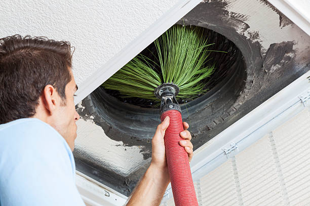 Best Air Duct Cleaning Near Me  in Cheswold, DE